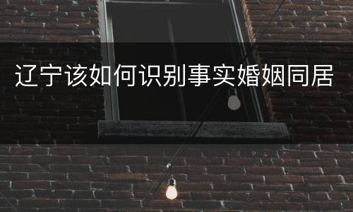 辽宁该如何识别事实婚姻同居