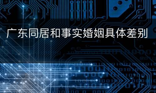 广东同居和事实婚姻具体差别