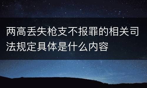 两高丢失枪支不报罪的相关司法规定具体是什么内容