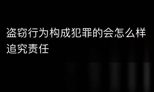 盗窃行为构成犯罪的会怎么样追究责任