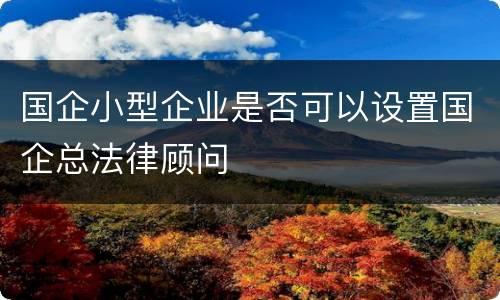 国企小型企业是否可以设置国企总法律顾问