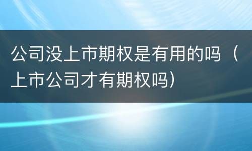 公司没上市期权是有用的吗（上市公司才有期权吗）