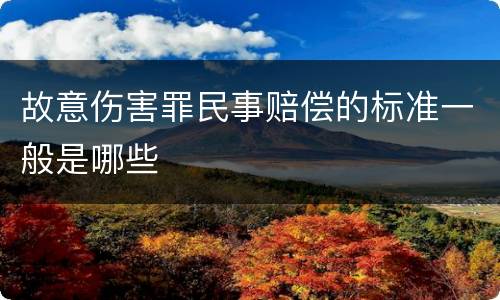 故意伤害罪民事赔偿的标准一般是哪些