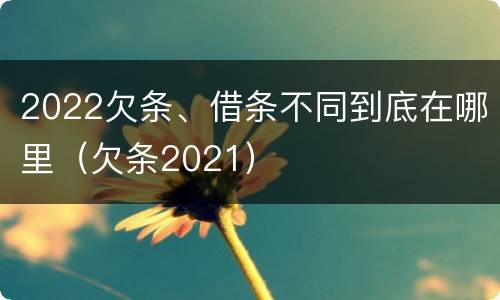 2022欠条、借条不同到底在哪里（欠条2021）