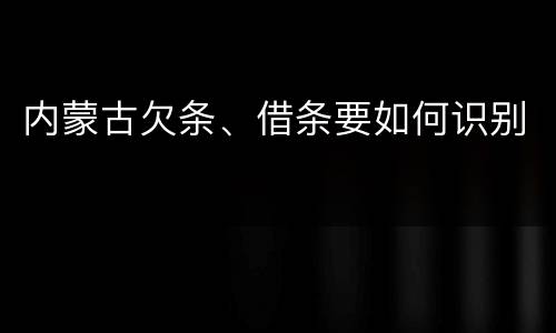 内蒙古欠条、借条要如何识别