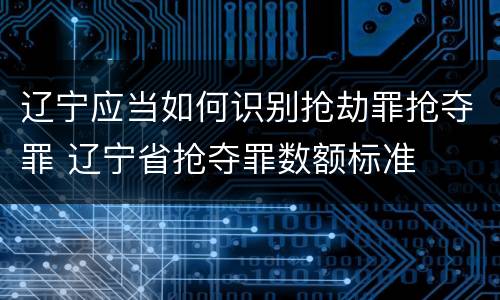 辽宁应当如何识别抢劫罪抢夺罪 辽宁省抢夺罪数额标准
