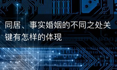 同居、事实婚姻的不同之处关键有怎样的体现