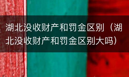 湖北没收财产和罚金区别（湖北没收财产和罚金区别大吗）