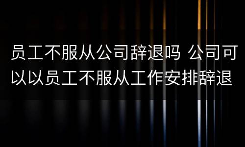 员工不服从公司辞退吗 公司可以以员工不服从工作安排辞退员工么