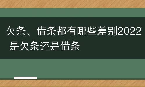 欠条、借条都有哪些差别2022 是欠条还是借条