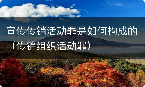 宣传传销活动罪是如何构成的（传销组织活动罪）
