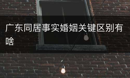 广东同居事实婚姻关键区别有啥
