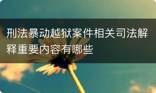 刑法暴动越狱案件相关司法解释重要内容有哪些