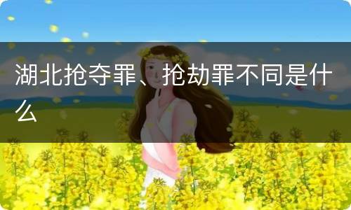 湖北抢夺罪、抢劫罪不同是什么