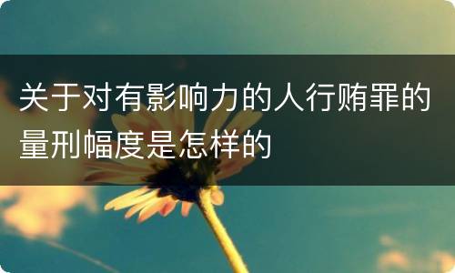 关于对有影响力的人行贿罪的量刑幅度是怎样的