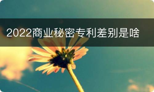 2022商业秘密专利差别是啥