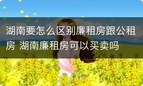 湖南要怎么区别廉租房跟公租房 湖南廉租房可以买卖吗