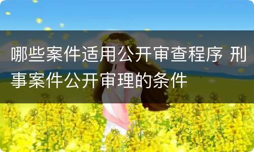 哪些案件适用公开审查程序 刑事案件公开审理的条件