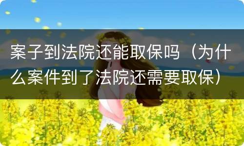 案子到法院还能取保吗（为什么案件到了法院还需要取保）