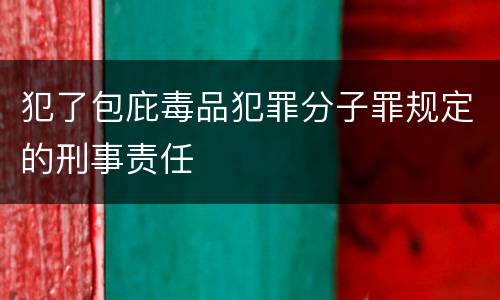 犯了包庇毒品犯罪分子罪规定的刑事责任