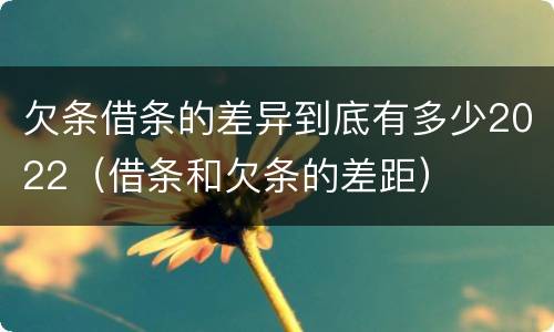 欠条借条的差异到底有多少2022（借条和欠条的差距）