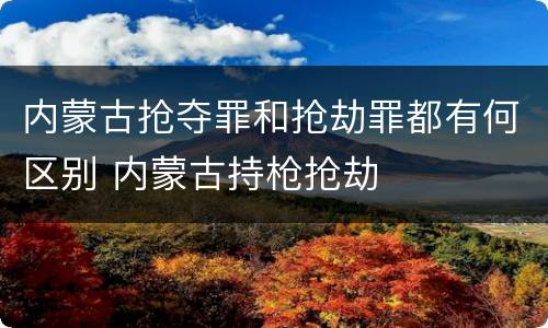 内蒙古抢夺罪和抢劫罪都有何区别 内蒙古持枪抢劫