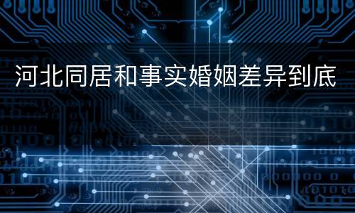 河北同居和事实婚姻差异到底
