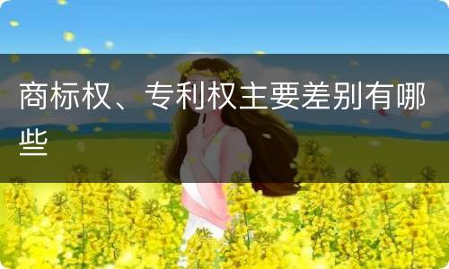 商标权、专利权主要差别有哪些