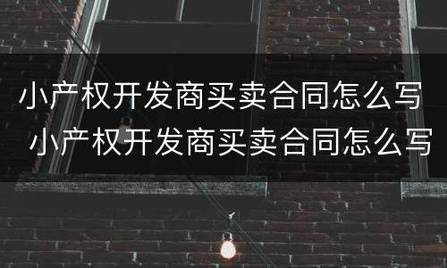 小产权开发商买卖合同怎么写 小产权开发商买卖合同怎么写的