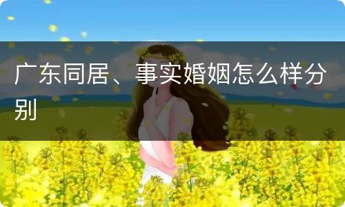 广东同居、事实婚姻怎么样分别