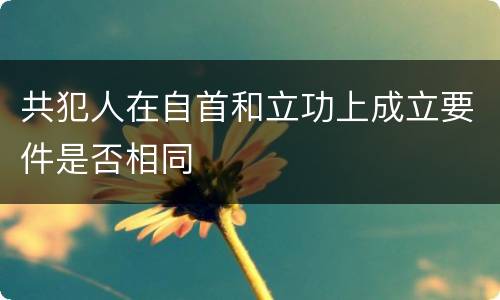 共犯人在自首和立功上成立要件是否相同