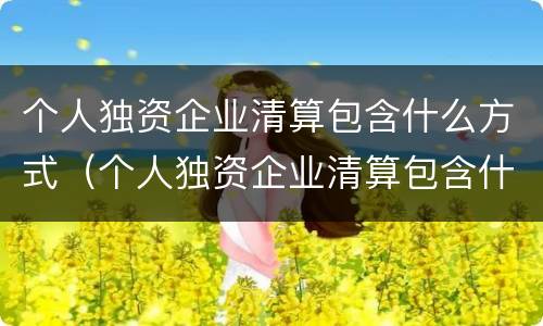 个人独资企业清算包含什么方式（个人独资企业清算包含什么方式的）