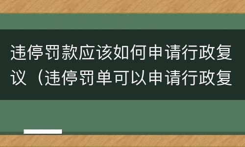 违停罚款应该如何申请行政复议（违停罚单可以申请行政复议吗）