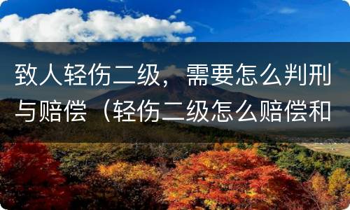 致人轻伤二级，需要怎么判刑与赔偿（轻伤二级怎么赔偿和判刑）