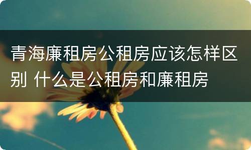 青海廉租房公租房应该怎样区别 什么是公租房和廉租房