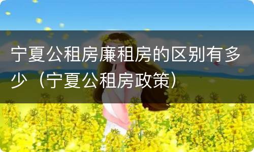 宁夏公租房廉租房的区别有多少（宁夏公租房政策）