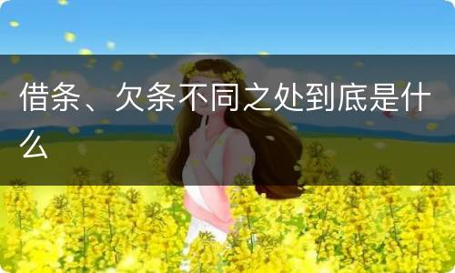 借条、欠条不同之处到底是什么