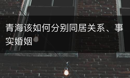 青海该如何分别同居关系、事实婚姻