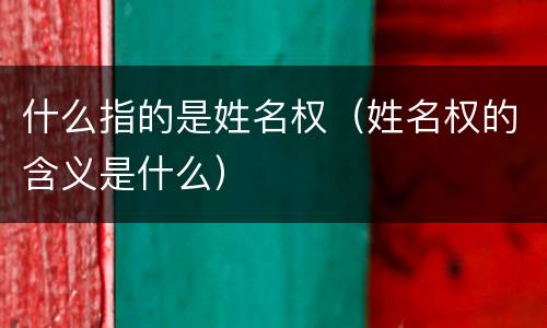 什么指的是姓名权（姓名权的含义是什么）