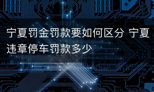 宁夏罚金罚款要如何区分 宁夏违章停车罚款多少