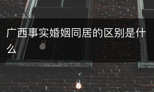 广西事实婚姻同居的区别是什么