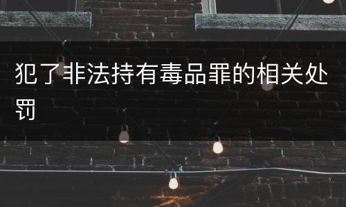 犯了非法持有毒品罪的相关处罚