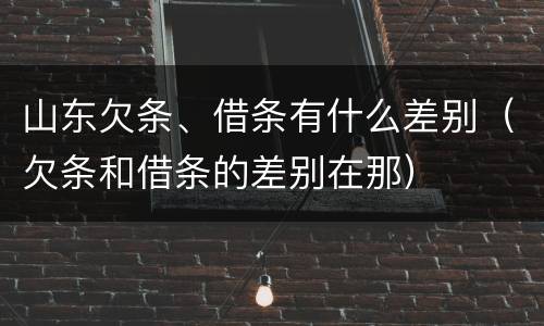 山东欠条、借条有什么差别（欠条和借条的差别在那）