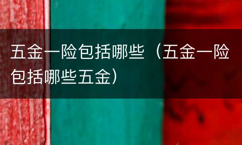 五金一险包括哪些（五金一险包括哪些五金）