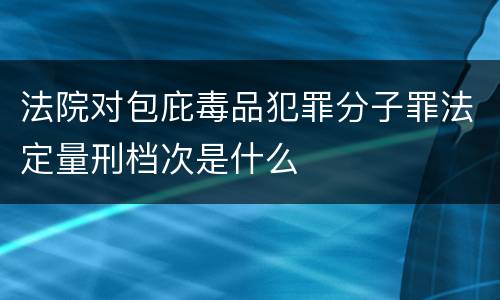 法院对包庇毒品犯罪分子罪法定量刑档次是什么