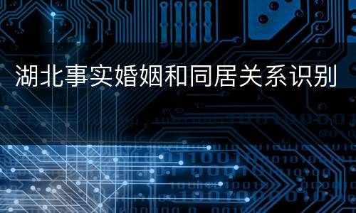 湖北事实婚姻和同居关系识别