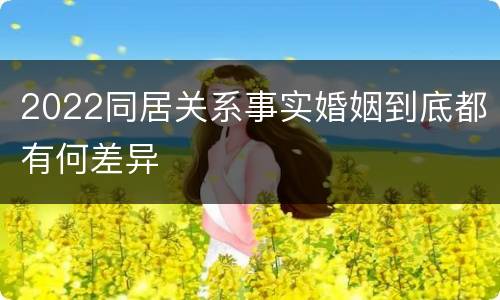 2022同居关系事实婚姻到底都有何差异