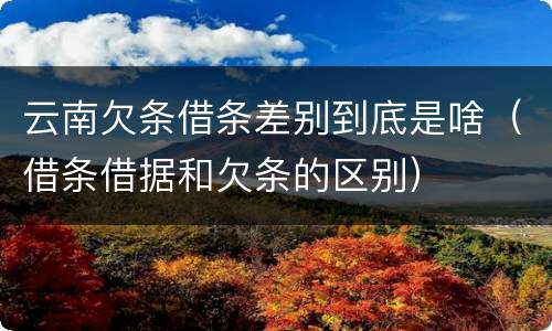云南欠条借条差别到底是啥（借条借据和欠条的区别）