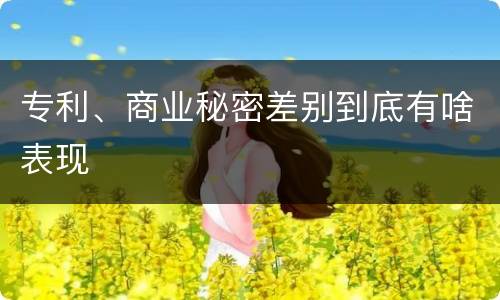 专利、商业秘密差别到底有啥表现