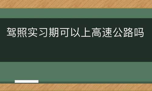 驾照实习期可以上高速公路吗